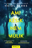 Heidi Perks: Ami késik, nem múlik